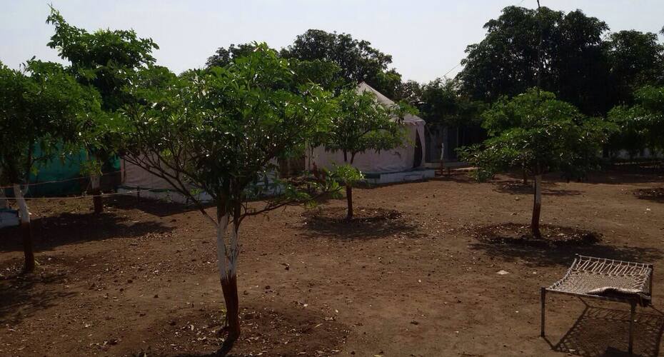 Arsibhai Barad Homestay, Somnath 4